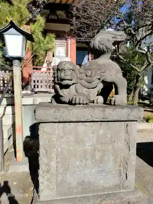 千住本氷川神社の狛犬