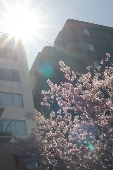 蔵前神社(東京都)