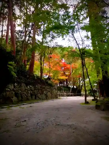 瓦屋寺の庭園