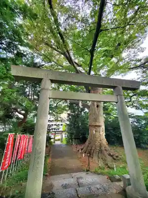 愛宕神社(福島県)
