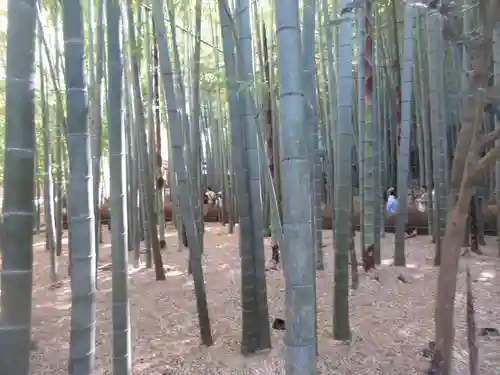 報国寺(神奈川県)