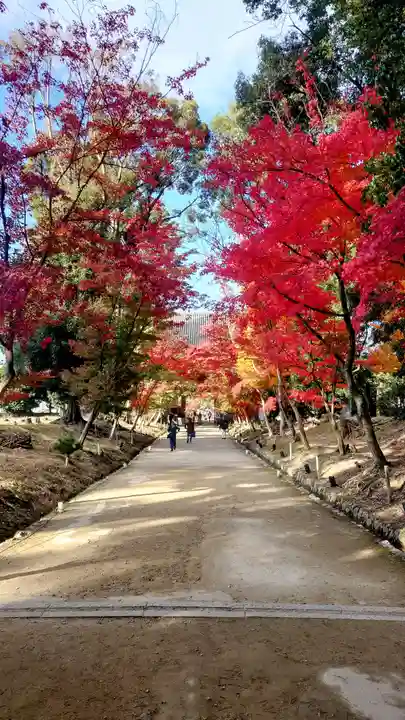 醍醐寺(京都府)