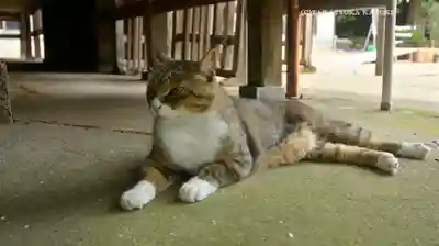 鎌数伊勢大神宮(千葉県)