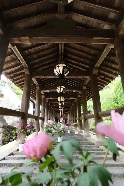 長谷寺(奈良県)