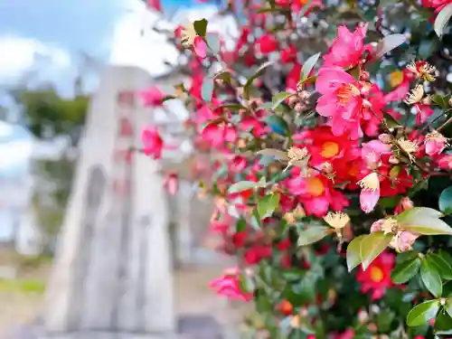 姫嶋神社の自然
