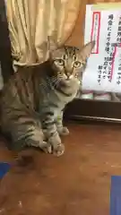 王子神社の動物