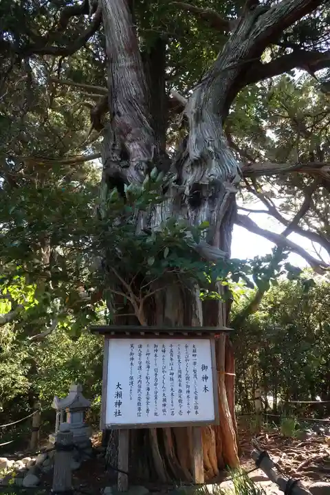 大瀬神社(静岡県)