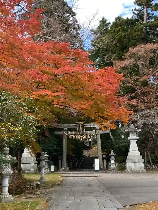 志波彦神社・鹽竈神社の自然