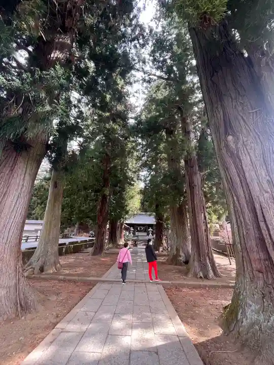 河口浅間神社のその他建物