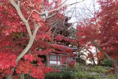 本土寺(千葉県)