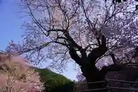 春谷寺(三重県)