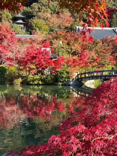 禅林寺（永観堂）(京都府)