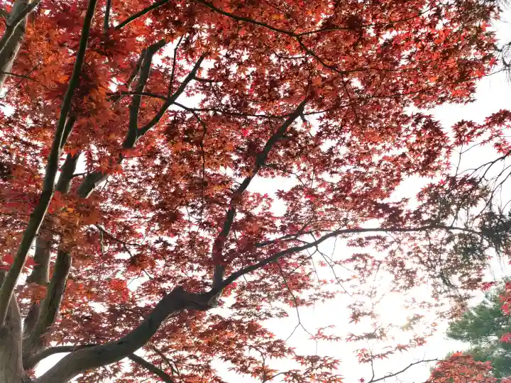 平安神宮(京都府)