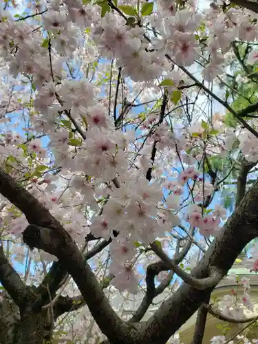 月窓寺(東京都)
