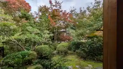 善法律寺(京都府)