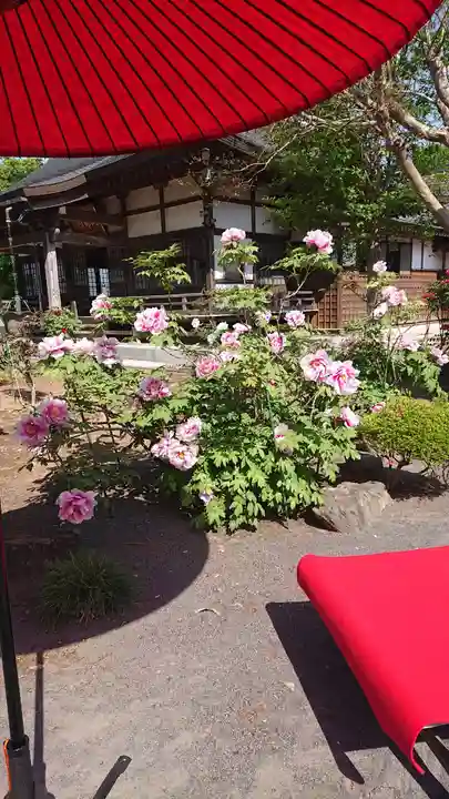 毘盧遮那寺の自然