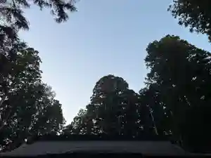 大宮温泉神社(栃木県)(2022年12月04日(日) 10時01分33秒投稿)