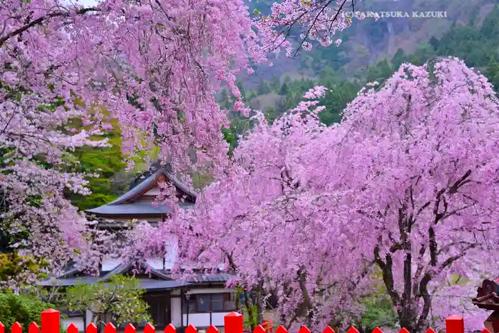金櫻神社(山梨県)