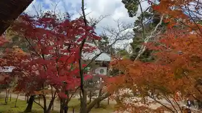 光明寺（粟生光明寺）(京都府)