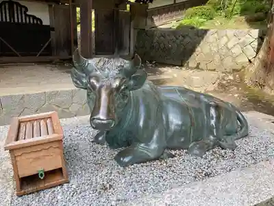 牛伏寺の狛犬