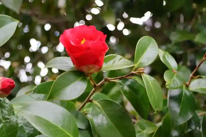 晴門田神社の自然