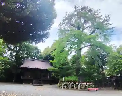 七社神社の{uncategorized: "未分類", other: "その他", undefined: "問題あり", building: "その他建物", grave: "お墓", sacred_gate: "鳥居", guardian: "狛犬", statue: "像", buddha: "仏像", history: "歴史", nature: "自然", garden: "庭園", animal: "動物", pagoda: "塔", temizu: "手水舎", mountain_gate: "山門・神門", sanctuary: "本殿・本堂", subordinate: "末社・摂社", art: "芸術", scenery: "景色", jizo: "地蔵", ema: "絵馬", goshuin: "御朱印", omikuji: "おみくじ", items: "授与品その他", amulet: "お守り", goshuincho: "御朱印帳", eats: "食事", festival: "お祭り", votive_dance: "神楽", shichigosan: "七五三参", wedding: "結婚式", experience: "体験その他", initially: "初詣", around: "周辺", anti_infection: "感染症対策"}