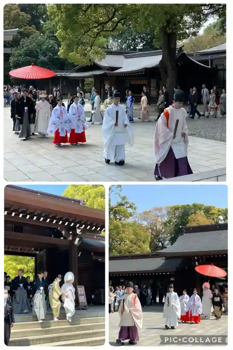 明治神宮(東京都)