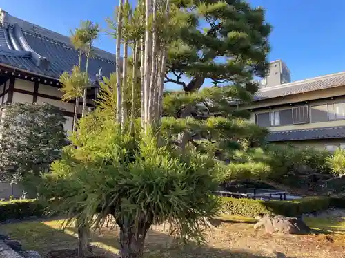 浄光院(京都府)