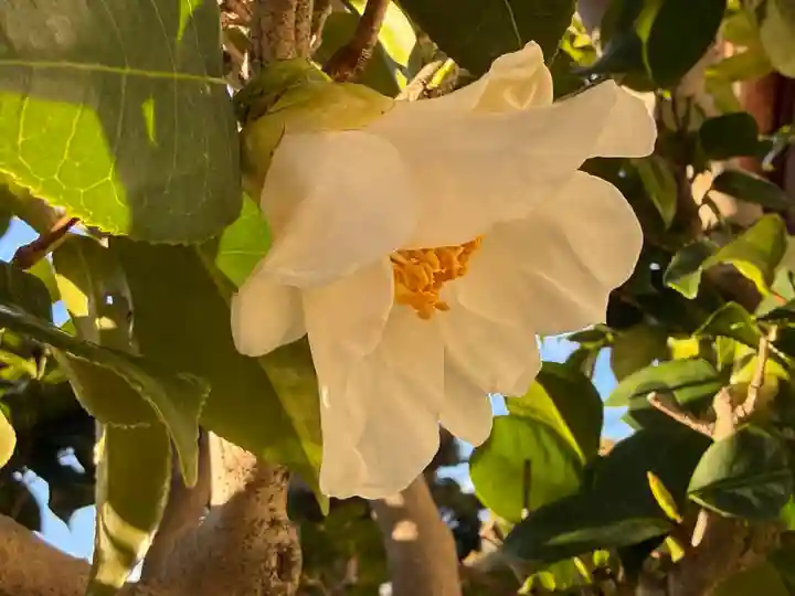 西方山極楽寺(岐阜県)