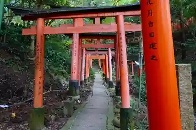 伏見稲荷大社の鳥居