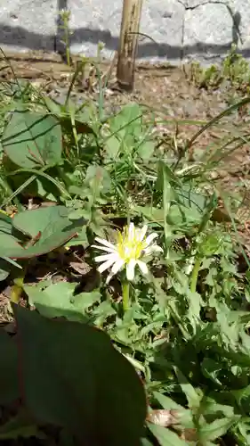 高幡不動尊　金剛寺の自然