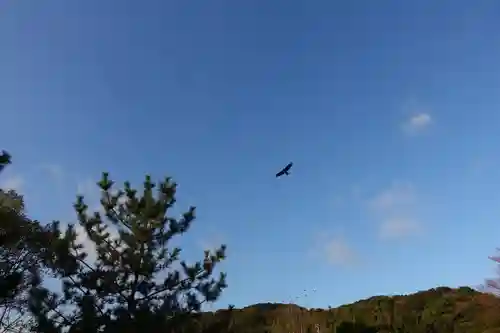 松帆神社の動物