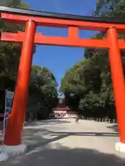 賀茂御祖神社（下鴨神社）(京都府)