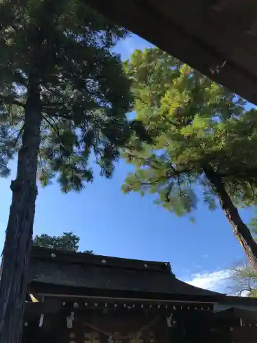 伊太祁曽神社(和歌山県)