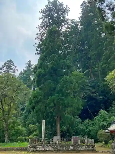 妙義神社の自然
