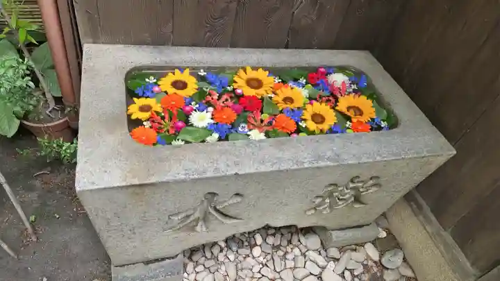 菅生神社の{uncategorized: "未分類", other: "その他", undefined: "問題あり", building: "その他建物", grave: "お墓", sacred_gate: "鳥居", guardian: "狛犬", statue: "像", buddha: "仏像", history: "歴史", nature: "自然", garden: "庭園", animal: "動物", pagoda: "塔", temizu: "手水舎", mountain_gate: "山門・神門", sanctuary: "本殿・本堂", subordinate: "末社・摂社", art: "芸術", scenery: "景色", jizo: "地蔵", ema: "絵馬", goshuin: "御朱印", omikuji: "おみくじ", items: "授与品その他", amulet: "お守り", goshuincho: "御朱印帳", eats: "食事", festival: "お祭り", votive_dance: "神楽", shichigosan: "七五三参", wedding: "結婚式", experience: "体験その他", initially: "初詣", around: "周辺", anti_infection: "感染症対策"}