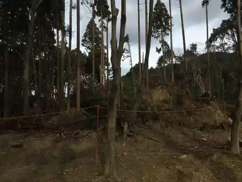 醍醐寺（上醍醐）の自然