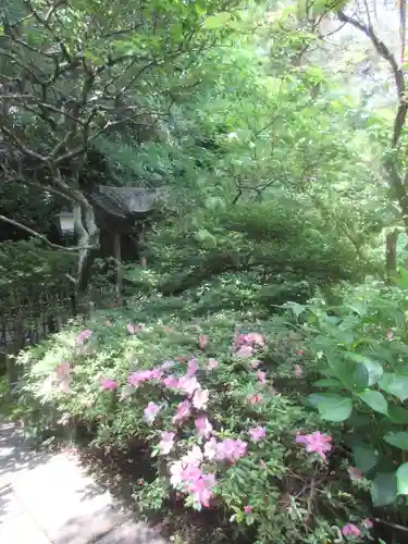 安國論寺（安国論寺）の庭園