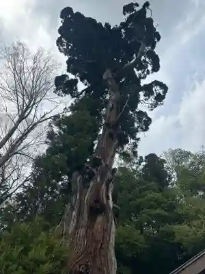勝山八幡神社(山梨県)