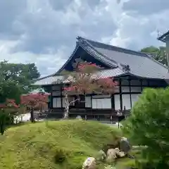 高台寺（高台寿聖禅寺・高臺寺）(京都府)