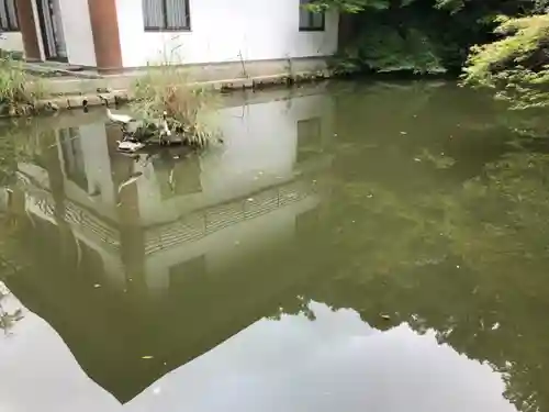 闘鶏神社(和歌山県)
