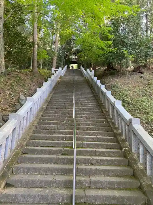 達磨寺の{uncategorized: "未分類", other: "その他", undefined: "問題あり", building: "その他建物", grave: "お墓", sacred_gate: "鳥居", guardian: "狛犬", statue: "像", buddha: "仏像", history: "歴史", nature: "自然", garden: "庭園", animal: "動物", pagoda: "塔", temizu: "手水舎", mountain_gate: "山門・神門", sanctuary: "本殿・本堂", subordinate: "末社・摂社", art: "芸術", scenery: "景色", jizo: "地蔵", ema: "絵馬", goshuin: "御朱印", omikuji: "おみくじ", items: "授与品その他", amulet: "お守り", goshuincho: "御朱印帳", eats: "食事", festival: "お祭り", votive_dance: "神楽", shichigosan: "七五三参", wedding: "結婚式", experience: "体験その他", initially: "初詣", around: "周辺", anti_infection: "感染症対策"}