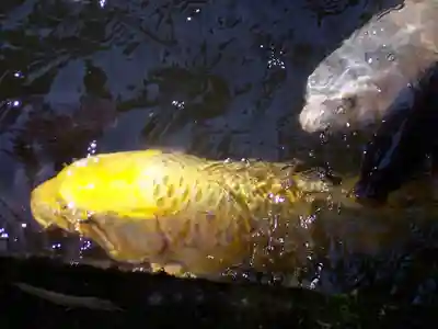 満願寺(栃木県)