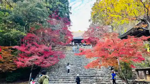 神護寺(京都府)