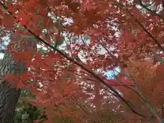 阿部野神社(大阪府)