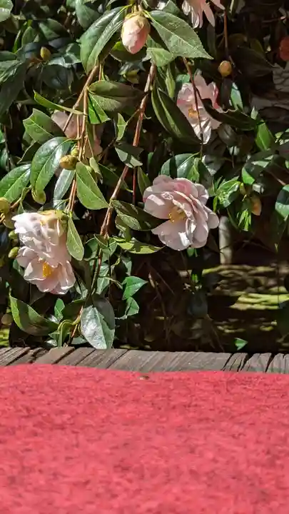 霊鑑寺門跡(京都府)