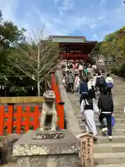 鶴岡八幡宮(神奈川県)