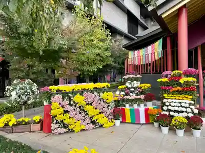 すがも鴨台観音堂(東京都)