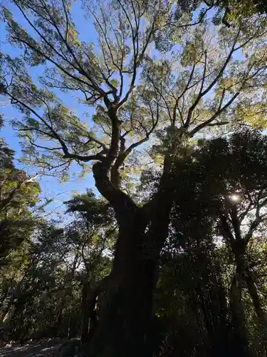 月讀宮（皇大神宮別宮）(三重県)