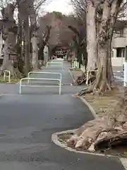 赤塚氷川神社の建物その他